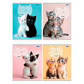 Тетрадь 12л косая линия Милые парочки котиков обл. цв. мел. 4 диз. (20/240) /12-4159/ Тетрадь 12л косая линия Милые парочки котиков обл. цв. мел. 4 диз. (20/240) /12-4159/