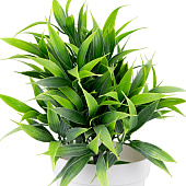 Искусственный цветок в кашпо h=22 см, арт. 19033-01651-3 Код 272135 Искусственный цветок в кашпо h=22 см, арт. 19033-01651-3 Код 272135