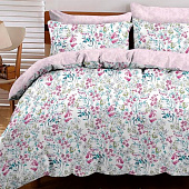  Комплект постельного белья 1,5 спальный Cleo Поплин Pure Cotton 15/181-PC 