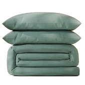 Постельное бельё Этель Евро Green forest 200х215, 220х240, 50х70-2 шт, 100% хлопок, поплин 125г/м2 Постельное бельё Этель Евро Green forest 200х215, 220х240, 50х70-2 шт, 100% хлопок, поплин 125г/м2