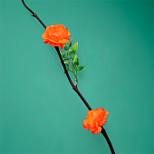 Интерьерный декор из бамбука, цветы пластик 200 см оранжевый 7779958 Интерьерный декор из бамбука, цветы пластик 200 см оранжевый 7779958