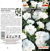 Гвоздика гренадин Леди в белом СА Гвоздика гренадин Леди в белом СА