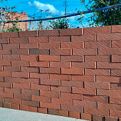  Кирпич керамический флеш БРИЗ 1НФ 250х120х65мм [М150-200] /Копылово 