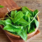 Зелень Щавель Изумрудный снег Гавриш Зелень Щавель Изумрудный снег Гавриш