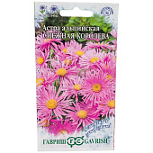 Астра альпийская Снежная королева розовая многолетняя, Гавриш Астра альпийская Снежная королева розовая многолетняя, Гавриш