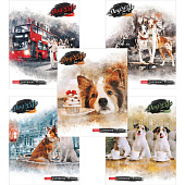 Тетрадь 48л. А5, скрепка, клетка, картонная обложка, матовая, скругленные углы, Все как у людей, 48Т5лВ1 Тетрадь 48л. А5, скрепка, клетка, картонная обложка, матовая, скругленные углы, Все как у людей, 48Т5лВ1