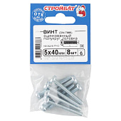  Винт оцинк.пкр. DIN 7985  М 5х40 (8шт) 