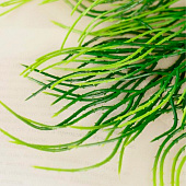 Букет искусственный «Папоротник узкий», 26 см 4642743 Букет искусственный «Папоротник узкий», 26 см 4642743