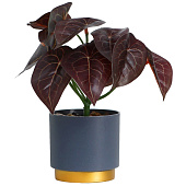 Искусственный цветок в горшке Алоказия колор 7,5х15 см 10084572 Искусственный цветок в горшке Алоказия колор 7,5х15 см 10084572