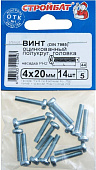 Винт оцинк.пкр. DIN 7985  М 4х20 (14шт)
