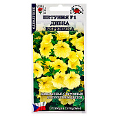  Петуния Дивка Береника , ЗС 