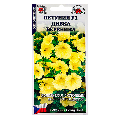  Петуния Дивка Береника , ЗС 