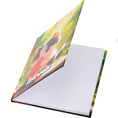 Дневник 1-4 класс 48л, твердый, BRAUBERG, глянцевая ламинация, с подсказом, Котик и арбузик, 107153 Дневник 1-4 класс 48л, твердый, BRAUBERG, глянцевая ламинация, с подсказом, Котик и арбузик, 107153