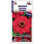 Цинния Захара Ресбери ЗС Цинния Захара Ресбери ЗС