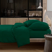  КПБ евро перкаль Актив "Wenge" (50х70) рис. 86407-9 Malachite 