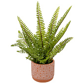  Искусственный цветок Папоротник, в керамическом горшке, 120х120х420 мм, Mia12 