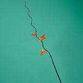 Интерьерный декор из бамбука, листья пластик 200 см оранжевый 7779959 Интерьерный декор из бамбука, листья пластик 200 см оранжевый 7779959