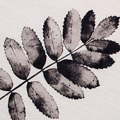  Скатерть (репс) 149х180 Этель Impression 9322498 