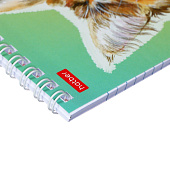 Блокнот А6, 40 л, Котики бывают разными, клетка, 40Б6В1гр Блокнот А6, 40 л, Котики бывают разными, клетка, 40Б6В1гр