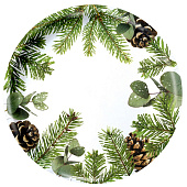 Тарелка одноразовая бумажная «С Новым годом», еловые ветки 10 шт Тарелка одноразовая бумажная «С Новым годом», еловые ветки 10 шт