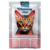 Влажный корм Chammy PRO для кошек 85гр лосось и форель в желе