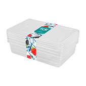  Набор контейнеров д/заморозки "Asti" прямоугольные 0,75л 221100801/00 