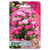 Астра Трубадур Брайт Ред Биотехника Астра Трубадур Брайт Ред Биотехника