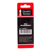 Биты 1/4" Torx30-50мм магнитный наконечник "Quadro Torsion" (уп.2шт) Биты 1/4" Torx30-50мм магнитный наконечник "Quadro Torsion" (уп.2шт)