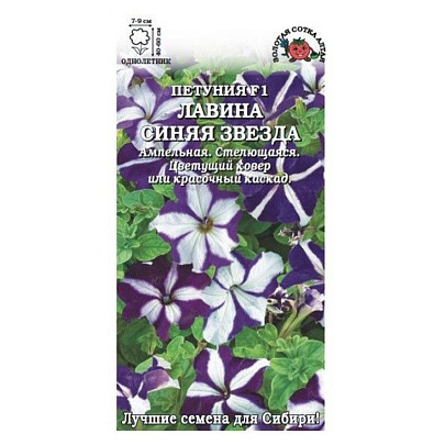  Петуния Лавина Синяя звезда, ЗС 