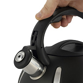 Чайник со свистком стальной 2 л 100303 Чайник со свистком стальной 2 л 100303