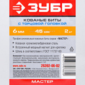 Биты с торцовой головкой, магнитные,хвостовик E 1/4", 6х45мм, 2шт/ЗУБР "МАСТЕР" Биты с торцовой головкой, магнитные,хвостовик E 1/4", 6х45мм, 2шт/ЗУБР "МАСТЕР"