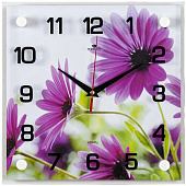  2525-009 (10) Часы настенные "Розовые ромашки" 