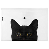 Папка на кнопке А4 ErichKrause Hiding Cats, с рисунком 160 мкм, ассорти, 61155 Папка на кнопке А4 ErichKrause Hiding Cats, с рисунком 160 мкм, ассорти, 61155