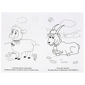  Раскраска А5 Домашние животные, 12л 