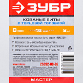 Биты с торцовой головкой 8мм, длина 45мм, 2шт/ЗУБР Биты с торцовой головкой 8мм, длина 45мм, 2шт/ЗУБР
