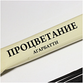 Благовония Тайна ночи Процветание 8 палочек 4887772 Благовония Тайна ночи Процветание 8 палочек 4887772