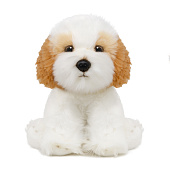 Мягкая игрушка MAXITOYS, собака Кавашон, 25 см Мягкая игрушка MAXITOYS, собака Кавашон, 25 см