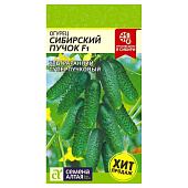 Огурец Сибирский Пучок СА