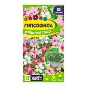  Цветы Гипсофила Изящная Смесь СА 