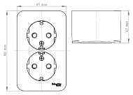  Розетка 2-м ОП BLANCA c/з изол. пласт. ясень SchE BLNRA010215 