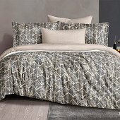  Комплект постельного белья 2 спальный Cleo сатин 20/033-SL 