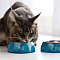  Сухой корм ONE для домашних кошек Индейка с Цельными Злаками 200г 