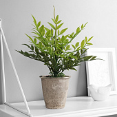 Искусственный цветок в горшке Хамедорея эстра, 22х8,5 см, микс, 10463222 Искусственный цветок в горшке Хамедорея эстра, 22х8,5 см, микс, 10463222