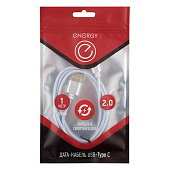  Кабель Energy ET-01 USB/Type-C, серебро 006372 