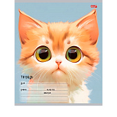  Тетрадь 12л линия Мультяшный котик обл. цв. мел. 5 диз. (25/250) /12-5573/ 