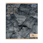  Тетрадь А5 96л скрепка клетка Alingar Rich nature, мелованный картон (стандарт) (4/48) /AL12082/ 
