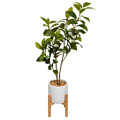  Дерево в цементном горшке с подставкой из МДФ, Д140 Ш140 В790 