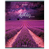 Тетрадь 96л. А5. BRAUBERG скоба, клетка, глянцевая ламинация, Nature, 404427 Тетрадь 96л. А5. BRAUBERG скоба, клетка, глянцевая ламинация, Nature, 404427