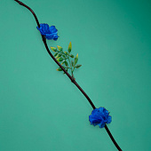 Интерьерный декор из бамбука, цветы пластик 200 см синий 7779961 Интерьерный декор из бамбука, цветы пластик 200 см синий 7779961