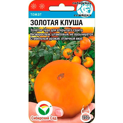 Томат Золотая клуша, СибСад Томат Золотая клуша, СибСад